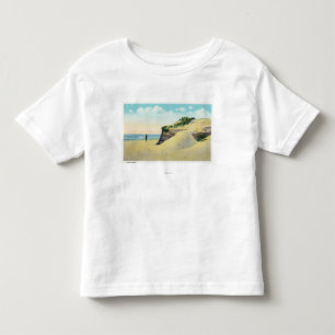 View of Typical New England Sand Dunes Toddler T-Shirt