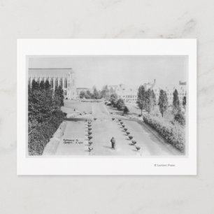 View of University of WA Campus Entrance Postcard