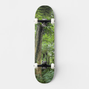 View of vegetation in Bali Botanical Gardens, Skateboard