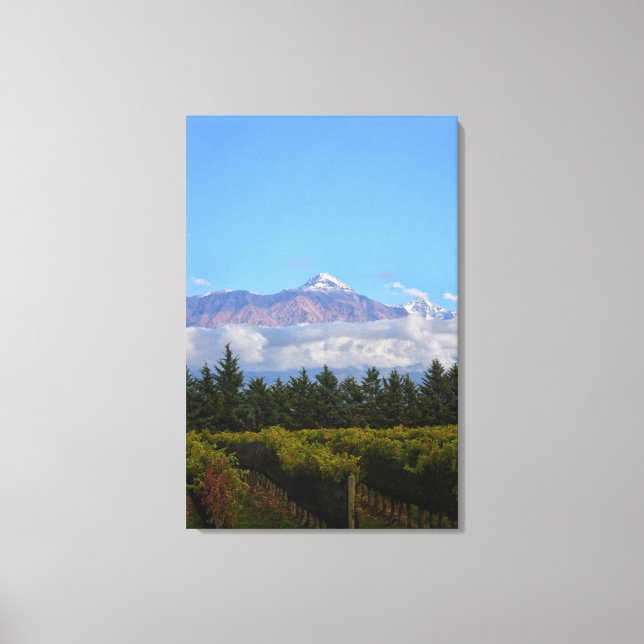 View Of Vineyard With Mountain On Background Canvas Print (Front)