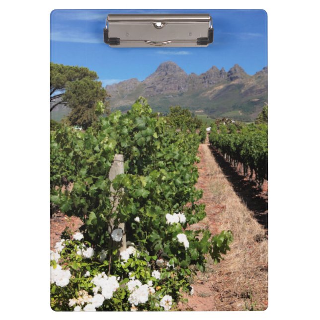 View Of Vineyards. Stellenbosch Clipboard (Front)