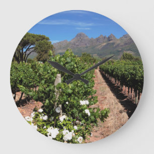 View Of Vineyards. Stellenbosch Large Clock