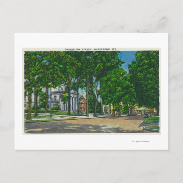 View of Washington Street Postcard (Front)