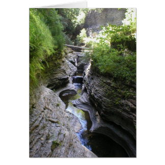 View of Watkin's Glen