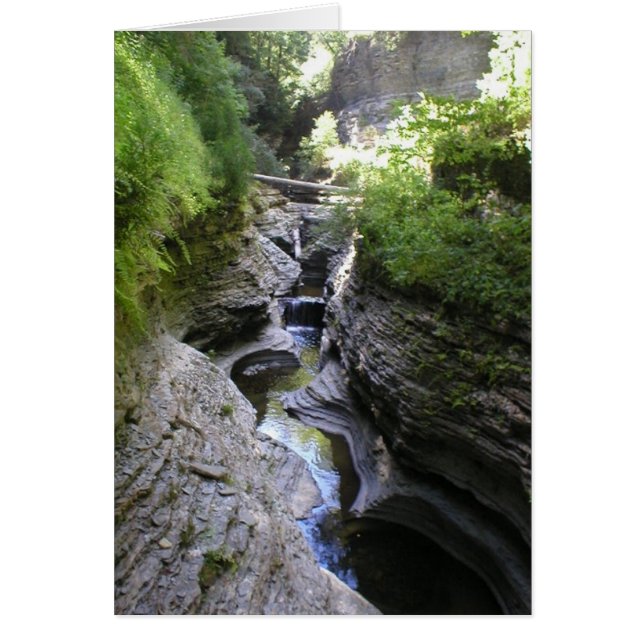 View of Watkin's Glen (Front)