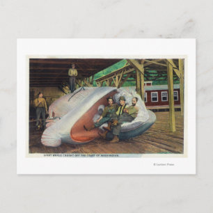 View of Whale Hunters Reclining on Whale Postcard