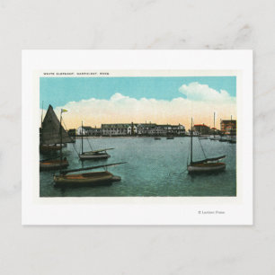 View of White Elephant Postcard