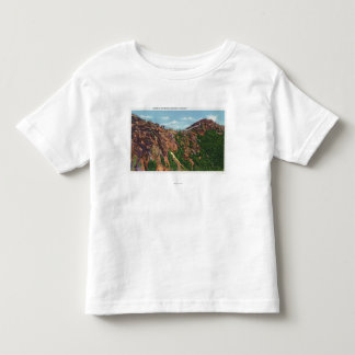 View of Whiteface Mt Summit Toddler T-Shirt