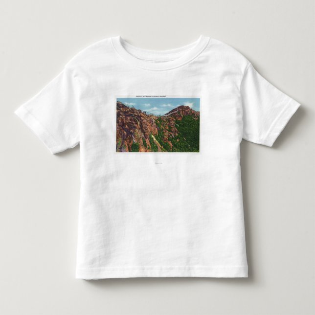 View of Whiteface Mt Summit Toddler T-Shirt (Front)