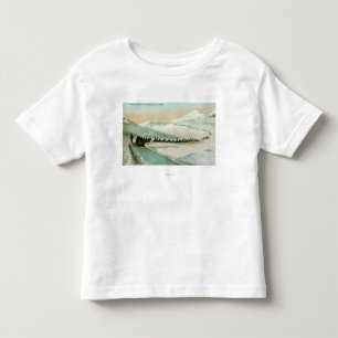 View of Winter Trail Climbers Toddler T-Shirt