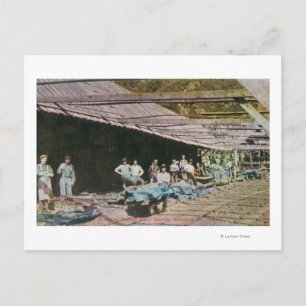 View of Workers at Eureka Slate Quarry Postcard
