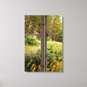 View through old window canvas print