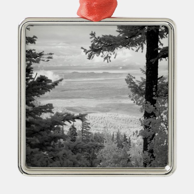 View west from crest of Sandia, Mountains, Metal Tree Decoration (Front)