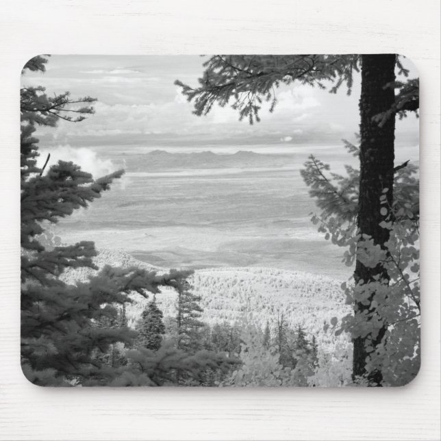 View west from crest of Sandia, Mountains, Mouse Mat (Front)