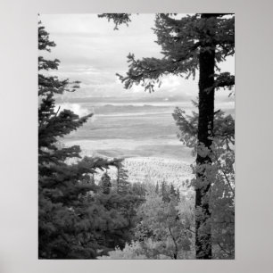 View west from crest of Sandia, Mountains, Poster