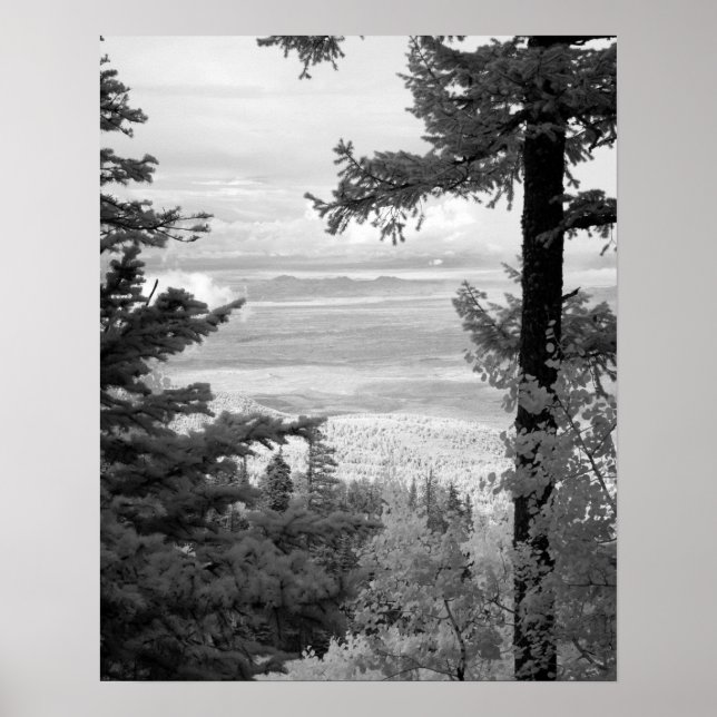 View west from crest of Sandia, Mountains, Poster (Front)