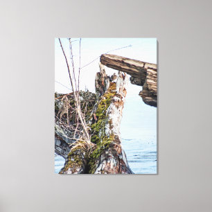 Viewing Box Canvas Print