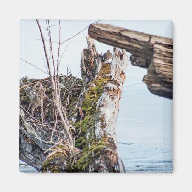 Viewing Box Magnet (Front)