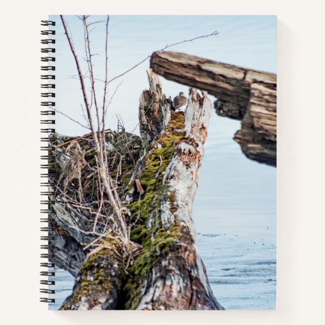 Viewing Box Notebook (Front)