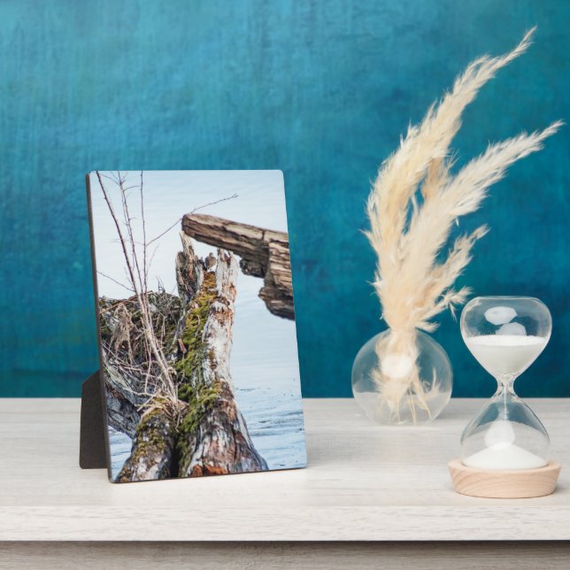 Viewing Box Plaque (Side)