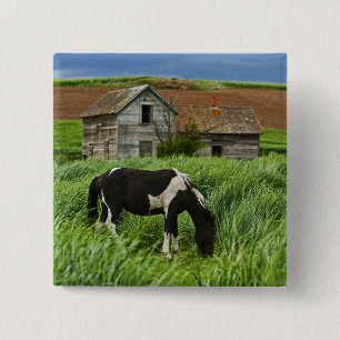 Viewing horses in a field in the Palouse 2 15 Cm Square Badge