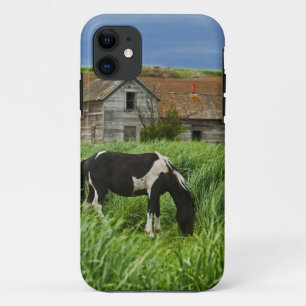 Viewing horses in a field in the Palouse 2 iPhone 11 Case