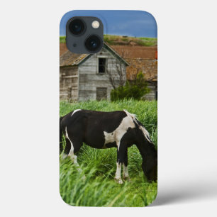 Viewing horses in a field in the Palouse 2 iPhone 13 Case