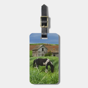 Viewing horses in a field in the Palouse 2 Luggage Tag
