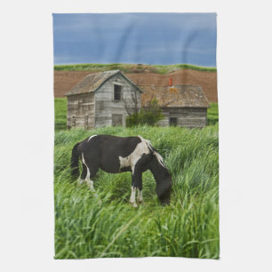 Viewing horses in a field in the Palouse 2 Tea Towel