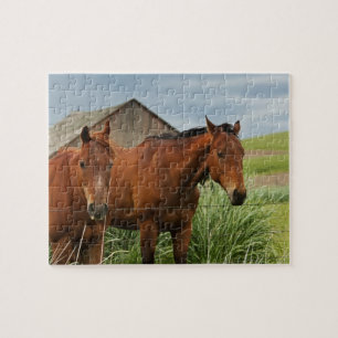 Viewing horses in a field in the Palouse 3 Jigsaw Puzzle