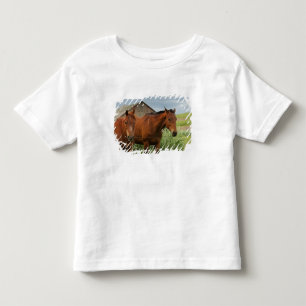 Viewing horses in a field in the Palouse 3 Toddler T-Shirt