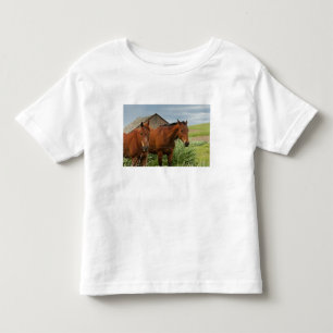 Viewing horses in a field in the Palouse 3 Toddler T-Shirt