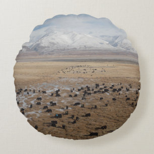 VIEWS FROM A TRAIN TO TIBET ROUND CUSHION