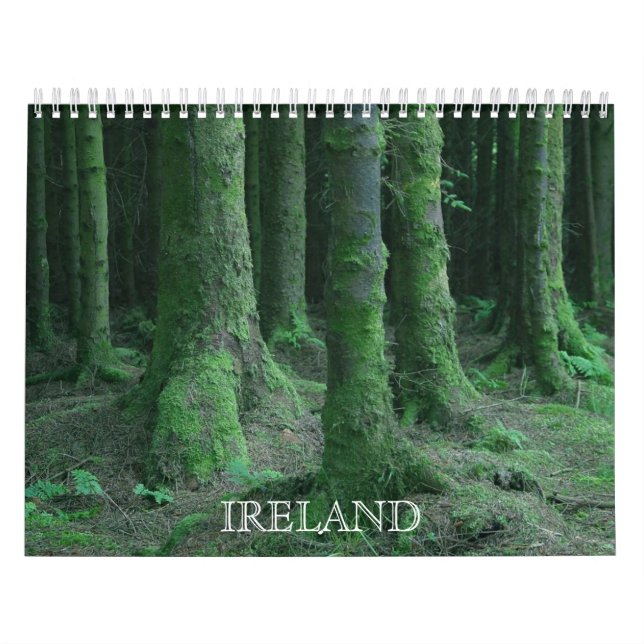 Views From Ireland Calendar (Cover)