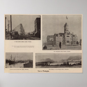 Views in Washington Poster