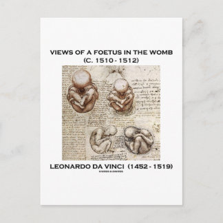 Views Of A Foetus In The Womb (Leonardo da Vinci) Postcard