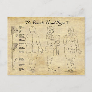 Views of The Female Head Type 7 Postcard