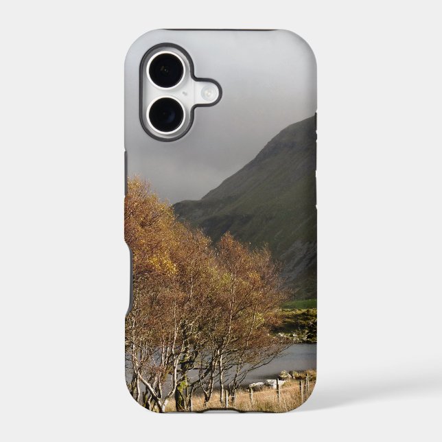 VIEWS OF WALES (Back)