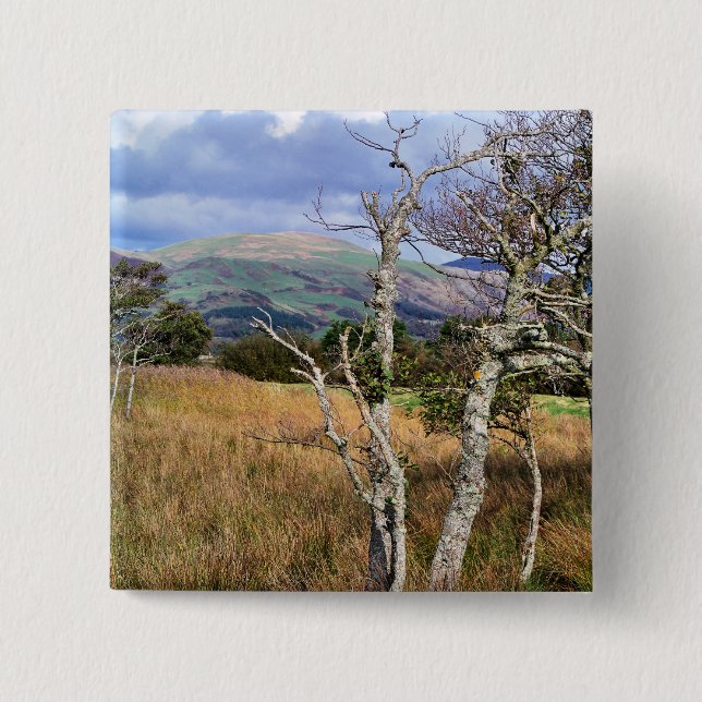 VIEWS OF WALES 15 CM SQUARE BADGE (Front)