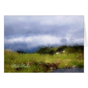 VIEWS OF WALES CARD