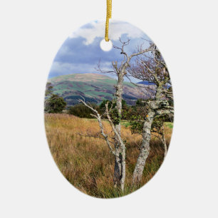 VIEWS OF WALES CERAMIC TREE DECORATION