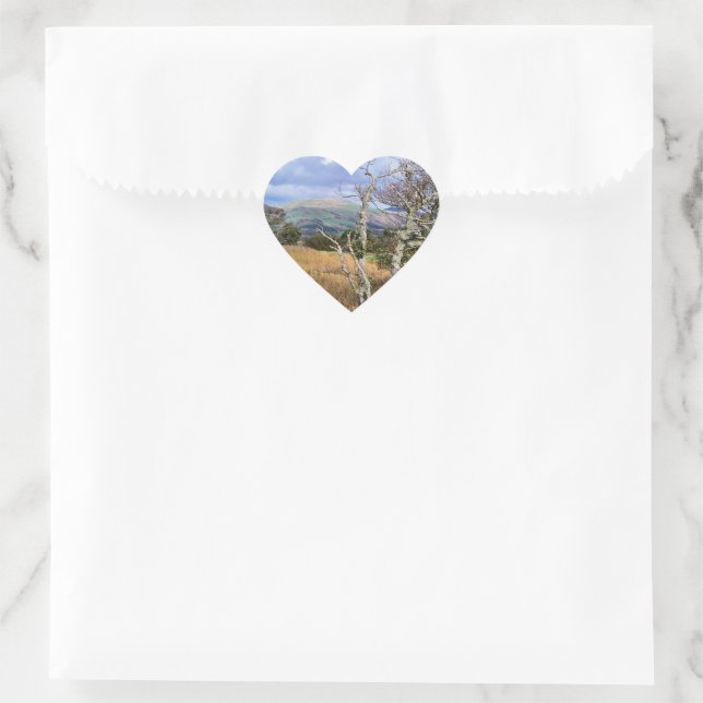 VIEWS OF WALES HEART STICKER (Bag)