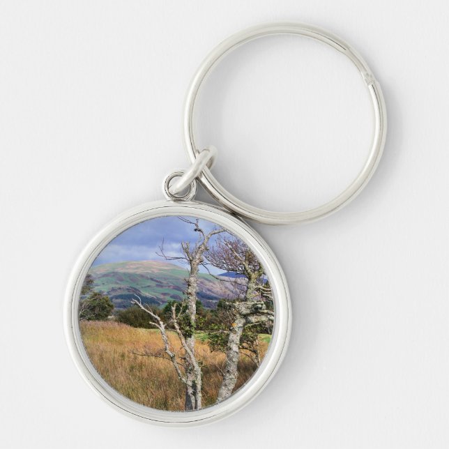 VIEWS OF WALES KEY RING (Front)