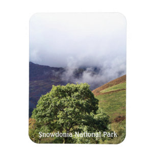 VIEWS OF WALES MAGNET