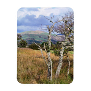 VIEWS OF WALES MAGNET