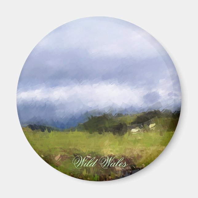 VIEWS OF WALES MAGNET (Front)