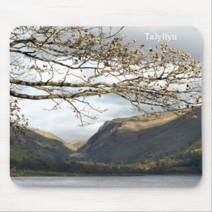 VIEWS OF WALES MOUSE MAT