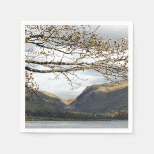 VIEWS OF WALES NAPKIN