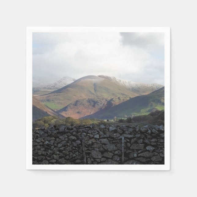 VIEWS OF WALES NAPKIN (Front)