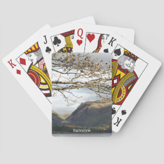 VIEWS OF WALES PLAYING CARDS